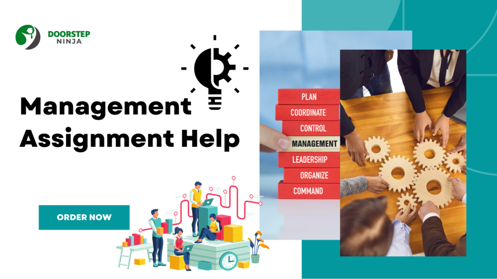 Management assignment help